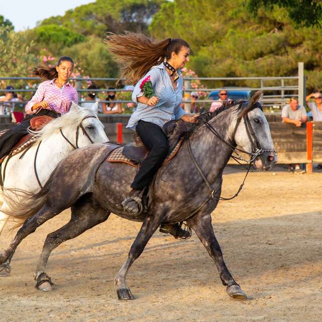 MANADE DU MAS DE LA COMTESSE
