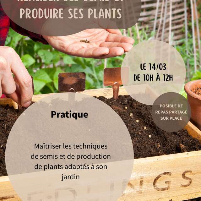 RÉALISER SES SEMIS ET PLANTS
