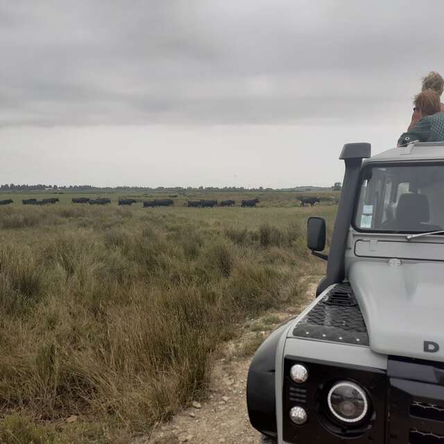 SAFARI CAMARGUE PASSION