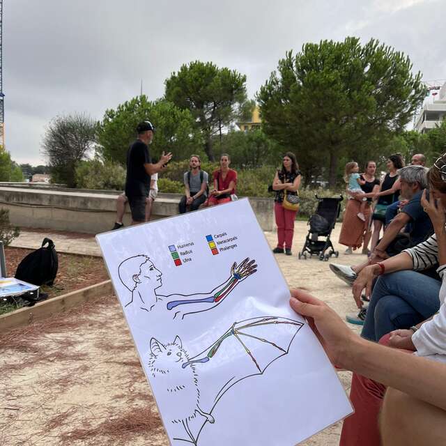 SOIRÉE AVEC LES CHAUVES-SOURIS AU BORD DU LEZ