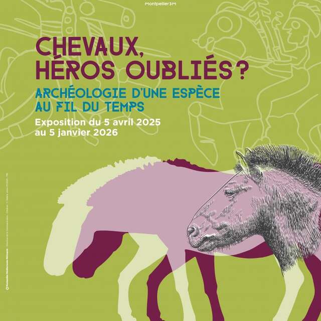 EXPOSITION "CHEVAUX, HÉROS OUBLIÉS ? ARCHÉOLOGIE D'UNE ESPÈCE AU FIL DU TEMPS"