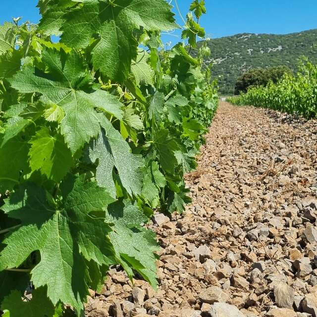 CLOS DES REBOUSSIERS