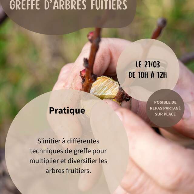 GREFFE D'ARBRES FRUITIERS