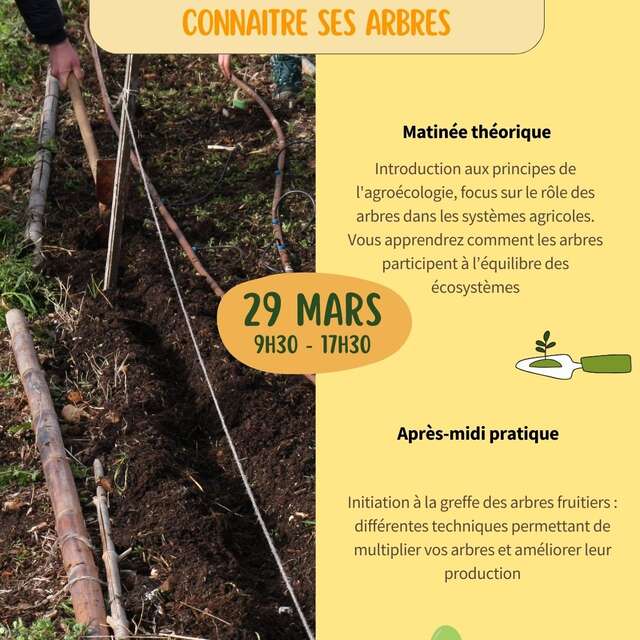 FORMATION POTAGER MOIS PAR MOIS - OASIS CITADINE