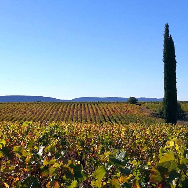 OENORANDO® LE SENTIER DU DRAGON