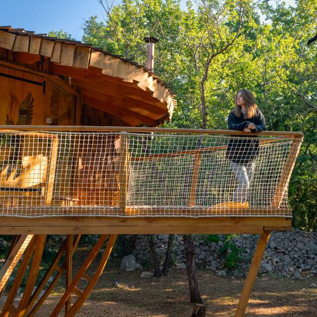 SOULEYOURT -"L'ENVOL DU PHÉNIX"