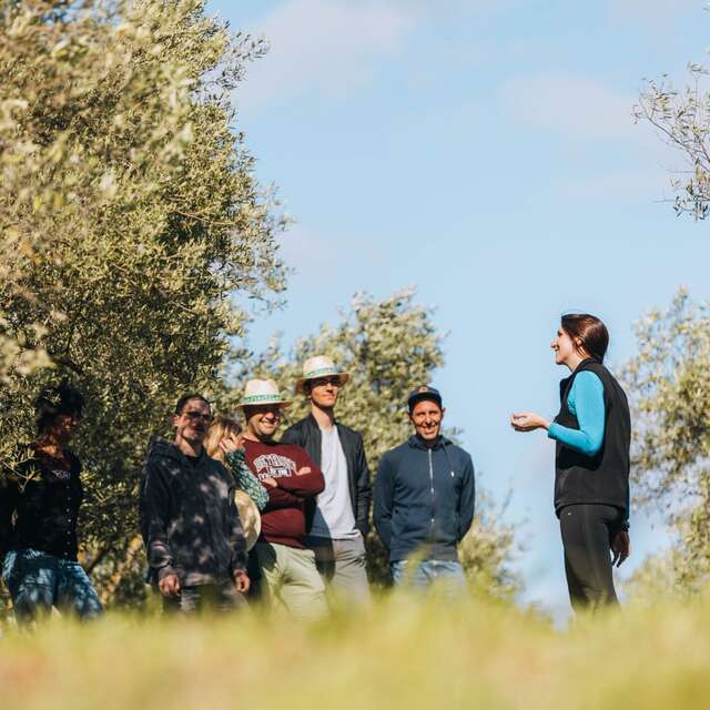 DOMAINE DE L'OULIVIE - VISITE GUIDÉE PÉDESTRE