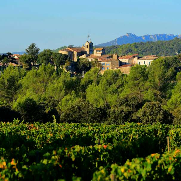 CHATEAU DE LASCAUX