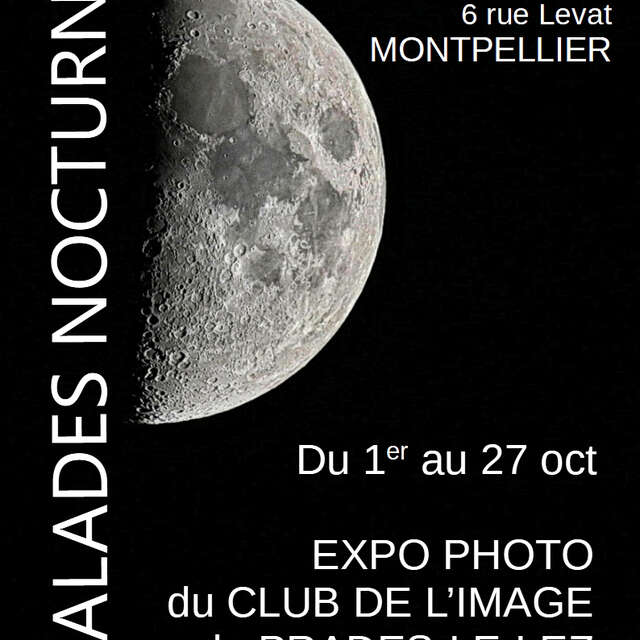 EXPOSITION NOCTURNE