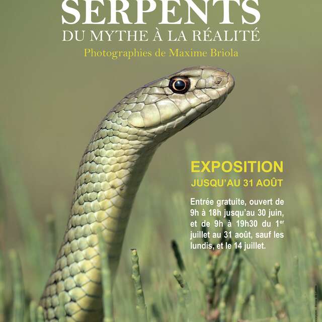 EXPOSITION PHOTOGRAPHIQUE - MAISON DE LA NATURE