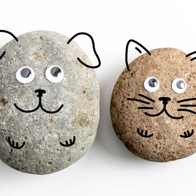 ATELIER : GÉO-COMPAGNON : REVEILLE TON CAILLOU !