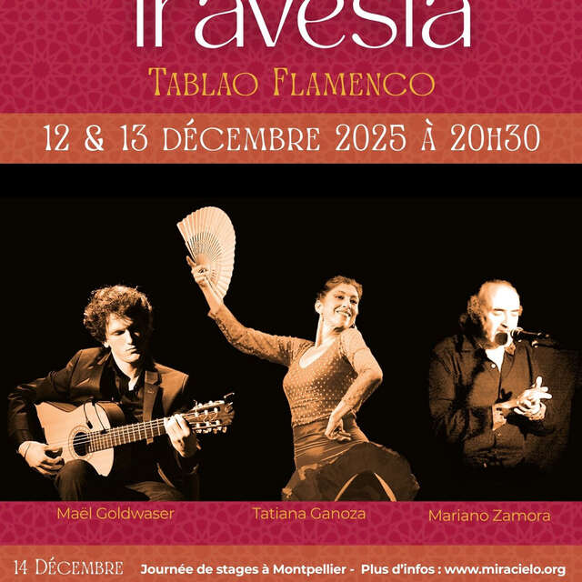 LES HIVERNALES FLAMENCAS DE MONTPELLIER