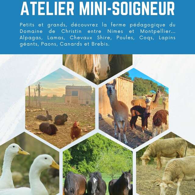 ATELIER SOIGNEUR D'UN JOUR DU DOMAINE DE CHRISTIN