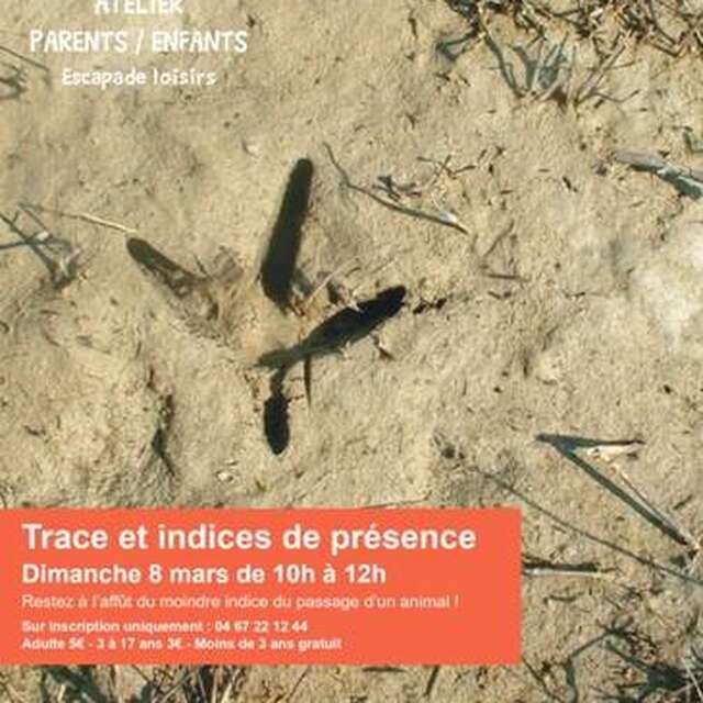 ATELIER PARENTS ENFANTS - TRACES ET INDICES DE PRÉSENCE