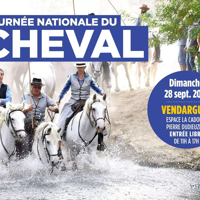 FÊTE DU CHEVAL