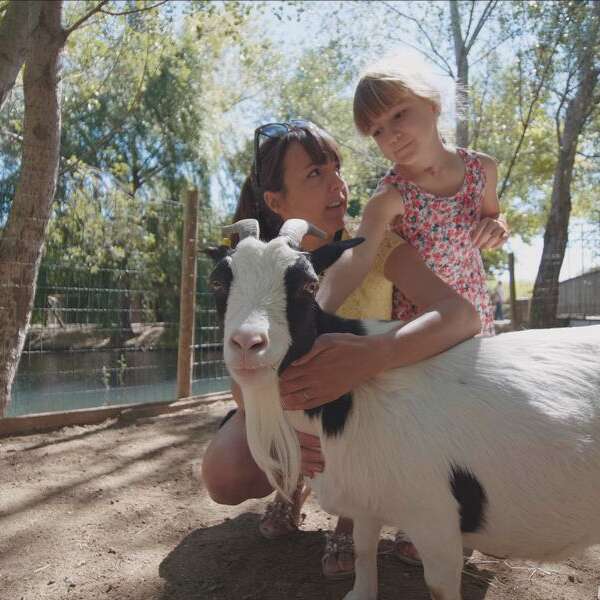 LES PETITS FERMIERS AU PAYS DE L'OR