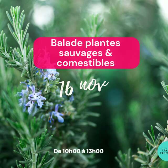 BALADE & ATELIER PLANTES SAUVAGES COMESTIBLES