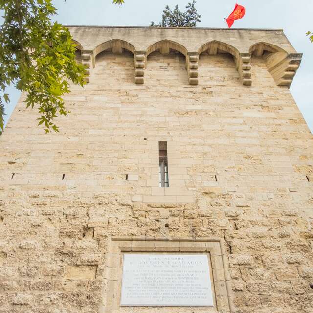 MONTPELLIER ET LES ROIS D'ARAGON