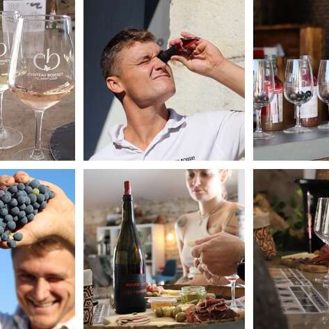 GRAPPES ET DÉGUSTATION : L'ATELIER VENDANGES