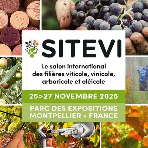SITEVI 2025