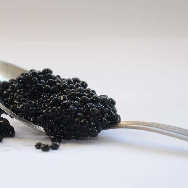 ACCORD VIN ET CAVIAR : L'ART DU GOÛT