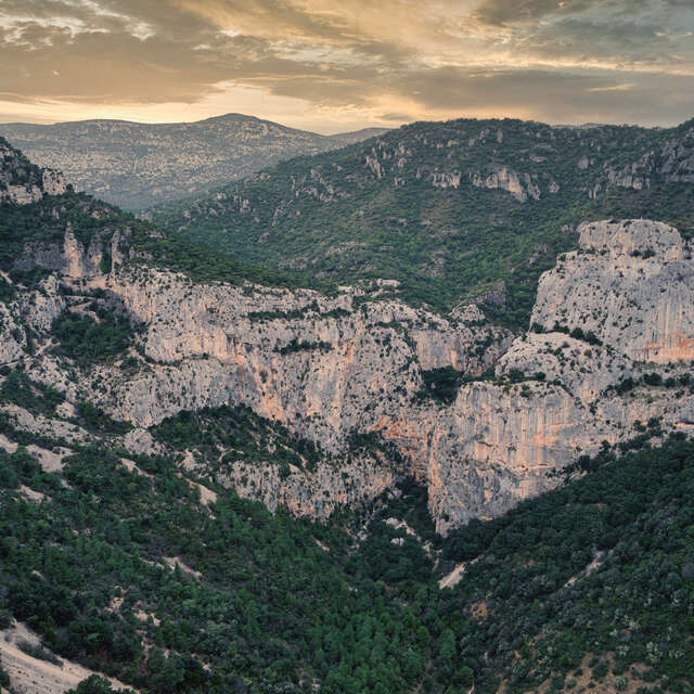 MÉDIATION EXPOSITION