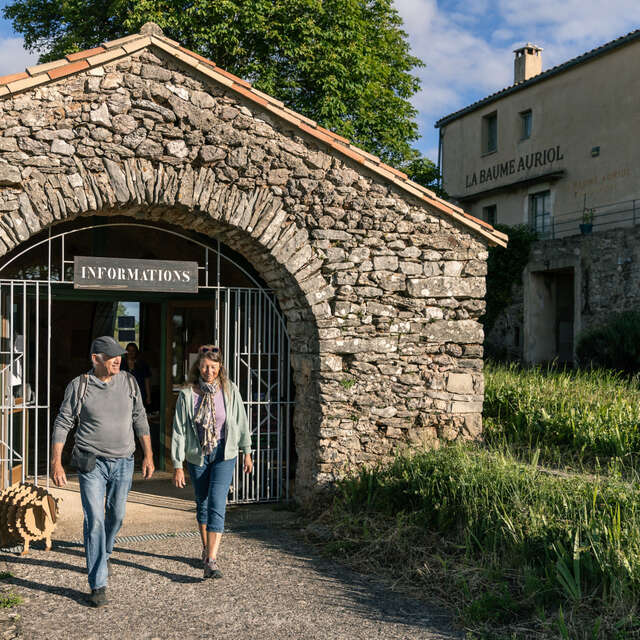 OFFICE DE TOURISME DU LODEVOIS ET LARZAC - BAUME AURIOL CIRQUE DE NAVACELLES