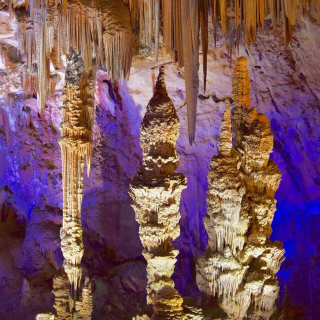 LA GROTTE DE LA SALAMANDRE