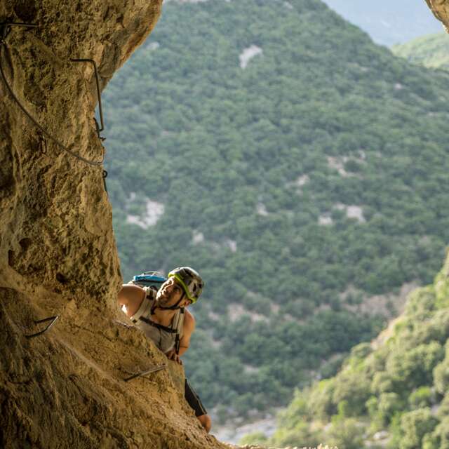 55 RUE SAINT CLÉOPHAS CREALEAD HÔTEL DE LA COOPÉRATION 34070 MONTPELLIER