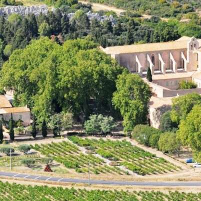 DOMAINE VITICOLE DE L’ABBAYE DE VALMAGNE