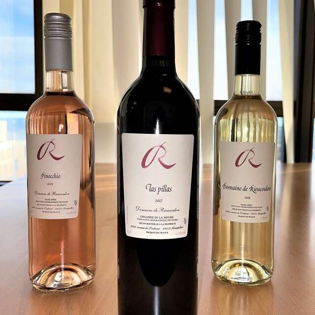 DOMAINE DE RIEUCOULON
