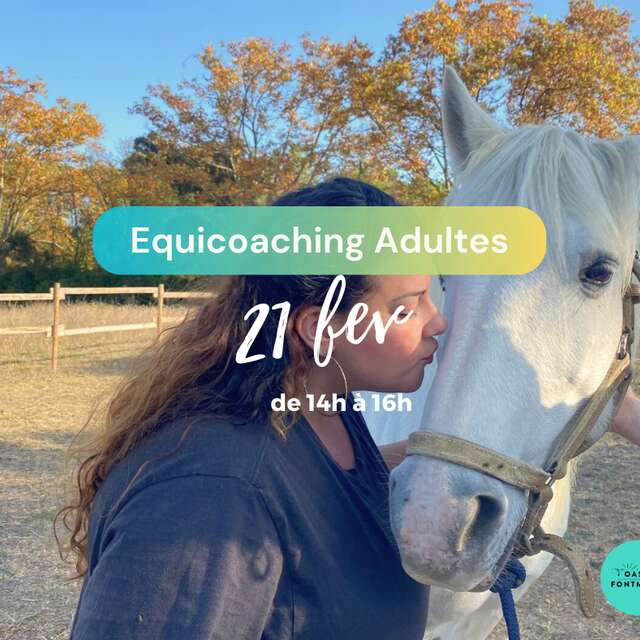 EQUICOACHING ADULTES