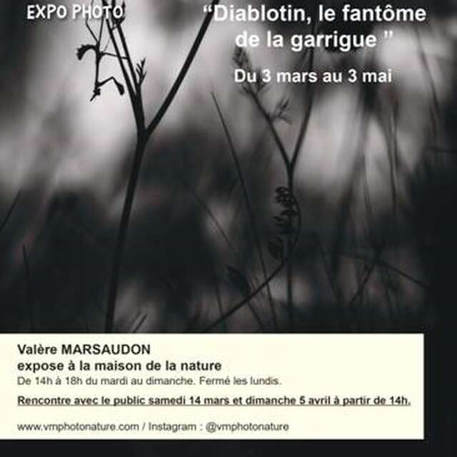 EXPOSITION PHOTOGRAPHIQUE - MAISON DE LA NATURE