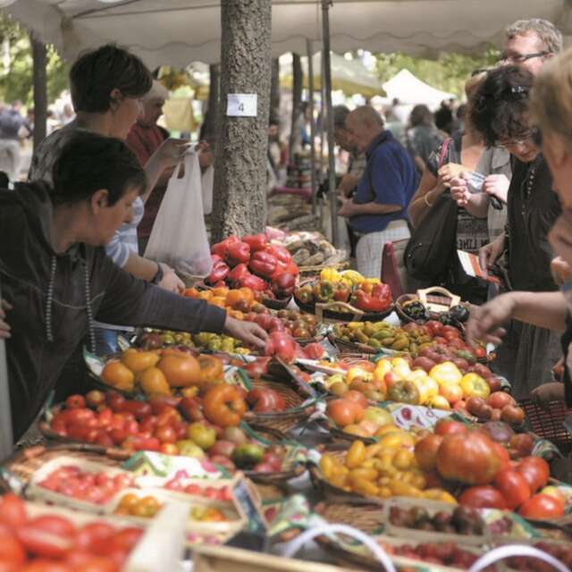 FESTIVAL DE LA TOMATE 2025 - CLAPIERS