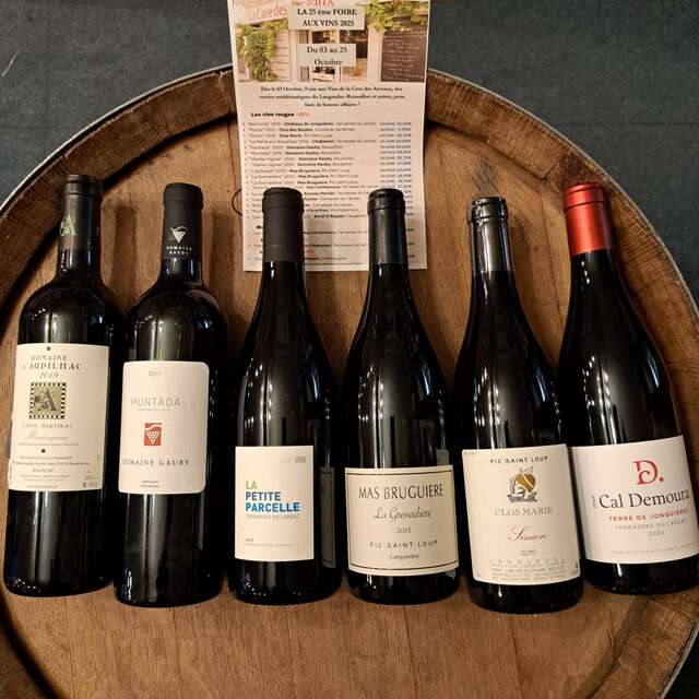 DÉGUSTATION DE LA 25ÈME FOIRE AUX VINS