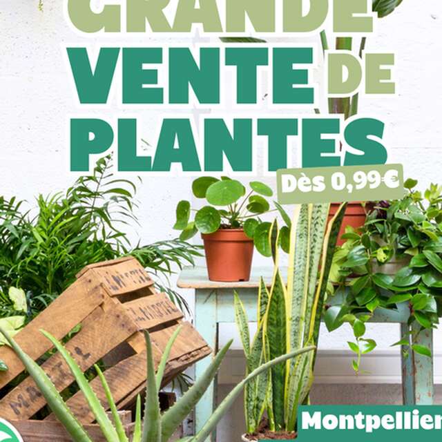 GRANDE VENTE DE PLANTES