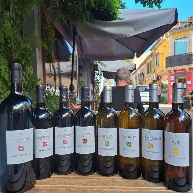 DÉGUSTATION DOMAINE GAUBY