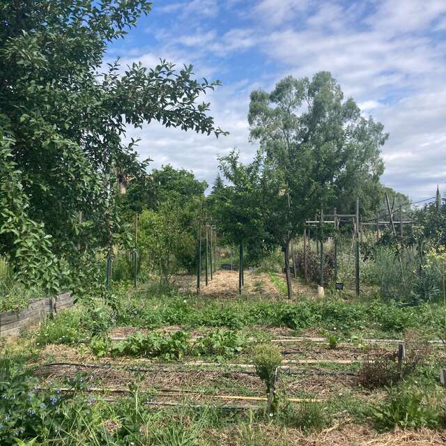 VISITE GUIDÉE DÉCOUVERTE DE LA PERMACULTURE - OASIS CITADINE