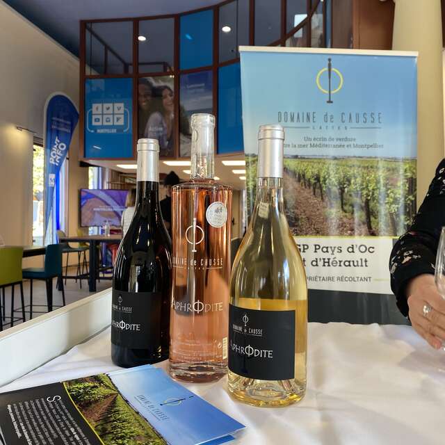 1 SEMAINE 1 DOMAINE 1 GOURMANDISE - RENCONTRES ET DÉGUSTATIONS