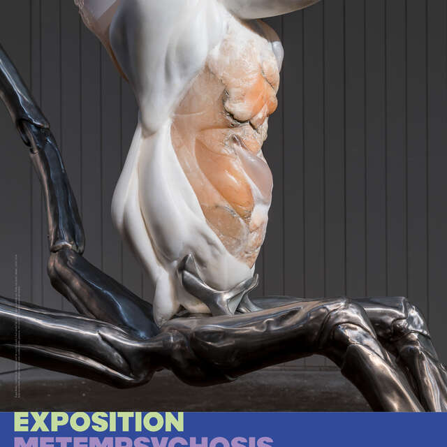EXPOSITION METEMPSYCHOSIS, IVANA BAŠIĆ - MO.CO. PANACÉE