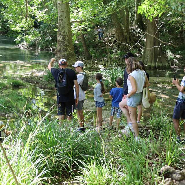 SUR LES TRACES DES LOUTRES À MONTPELLIER
