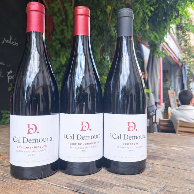 RENCONTRES VIGNERONNES CAVE DES ARCEAUX