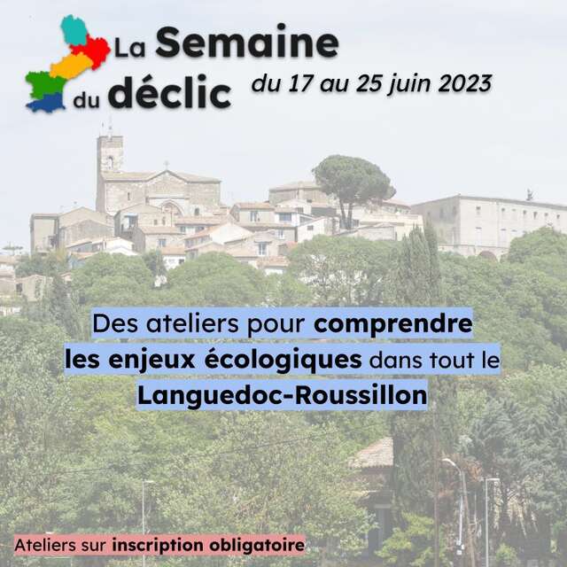L'ATELIER DU DÉCLIC