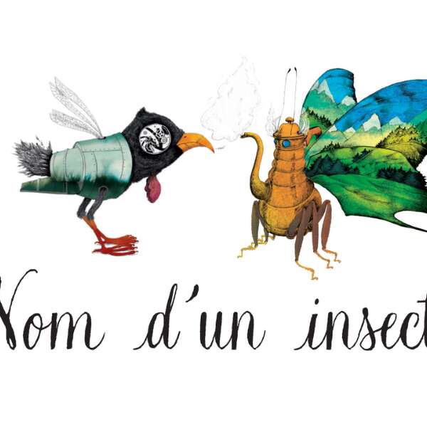 EXPOSITION : NOM D'UN INSECTE !