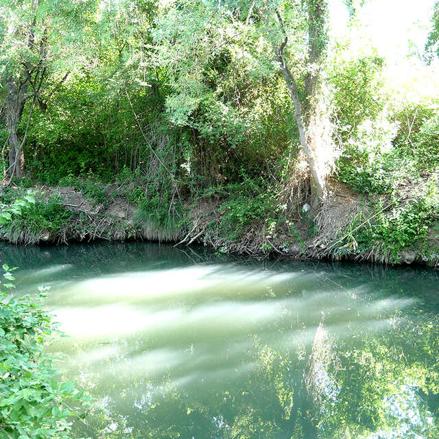 BALADE NATURE POUR DÉCOUVRIR LE  SALAISON AU CRÈS