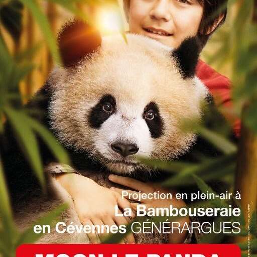 CINÉMA EN PLEIN AIR - MOON LE PANDA