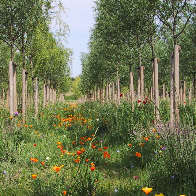 PARC GEORGES CHARPAK
