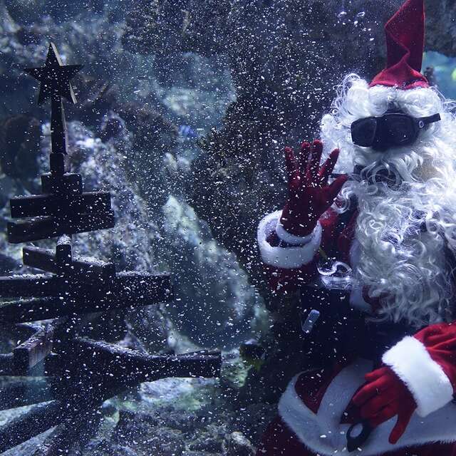 LES VACANCES DE NOEL AU PLANET OCEAN MONTPELLIER