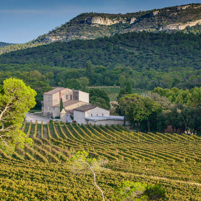 CHÂTEAU LA ROQUE