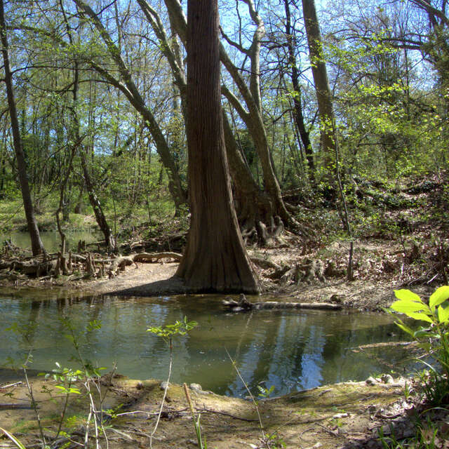 RÉSERVE NATURELLE DU LEZ, PARC DE LUNARET
